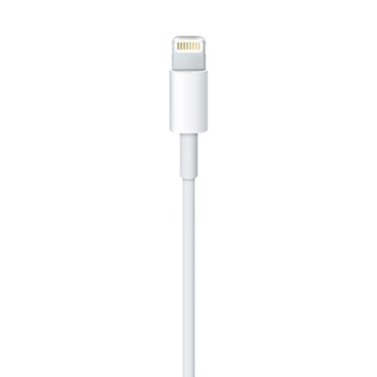 Lightning Cable Apple ME291ZM/A 50 cm White-2