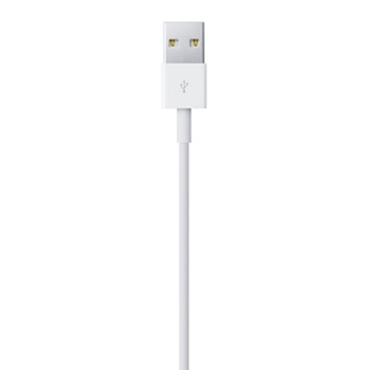 Lightning Cable Apple ME291ZM/A 50 cm White-1