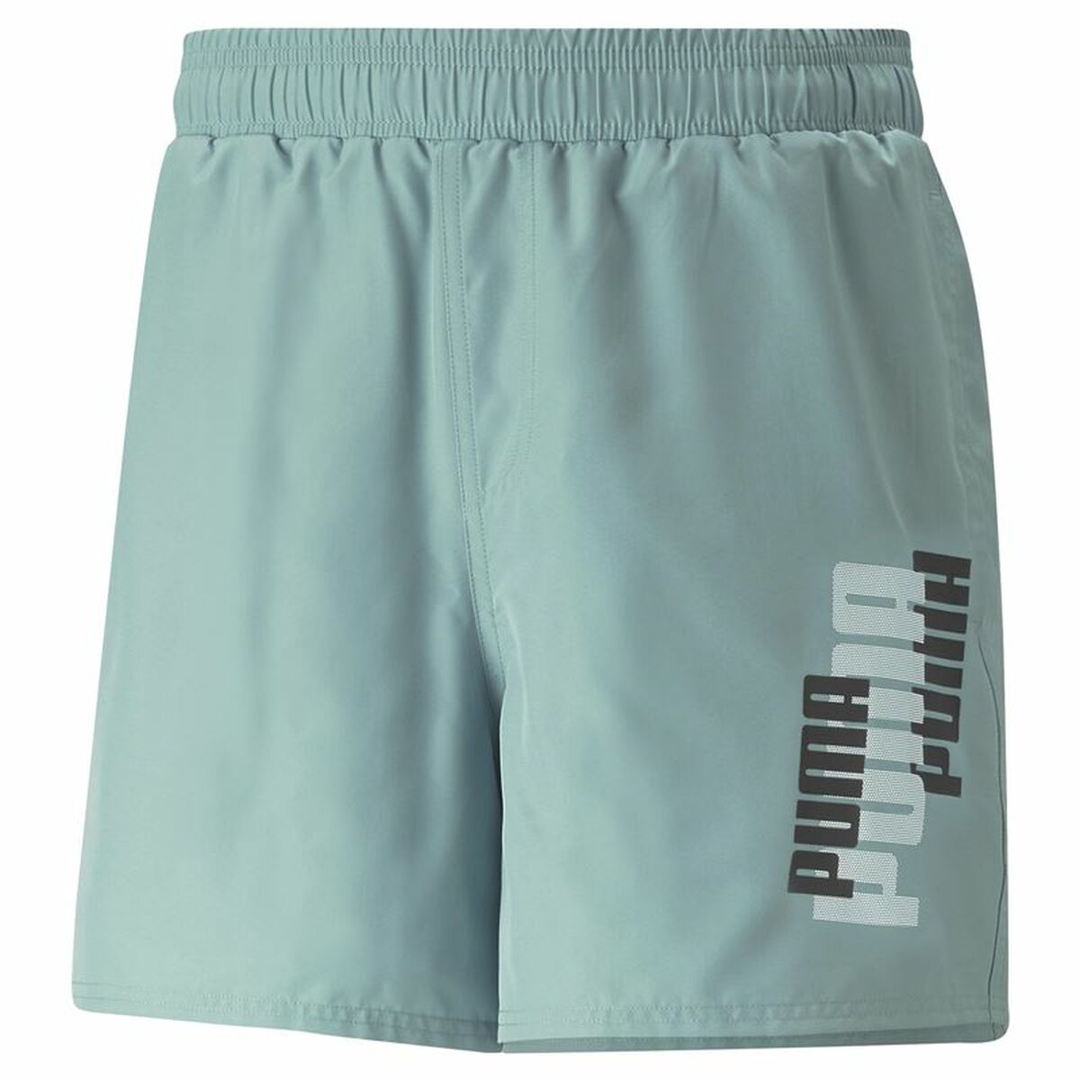 Men's Sports Shorts Puma Ess+ Logo Power Aquamarine-0