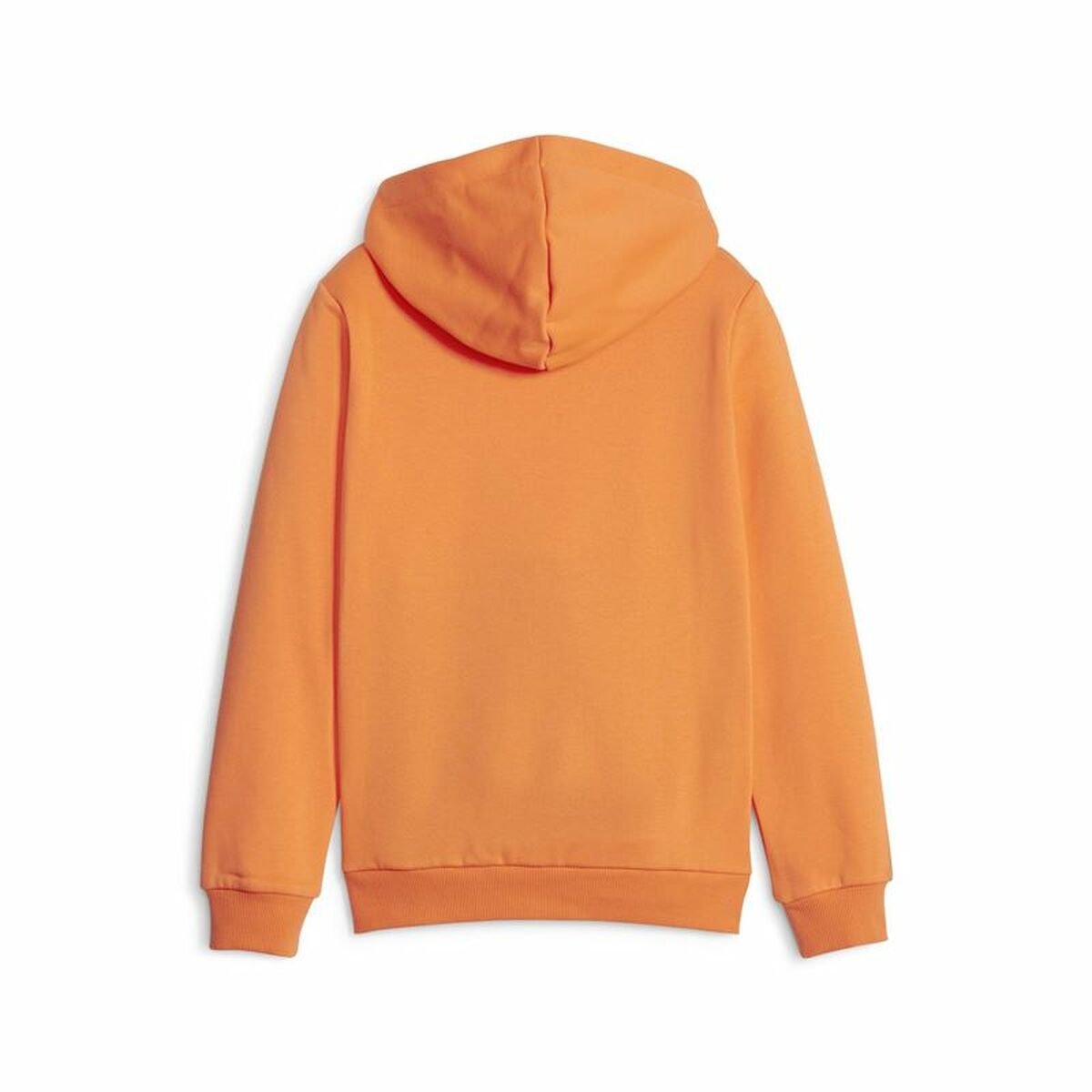 Children’s Sweatshirt Puma Ess Block Fl Orange-4