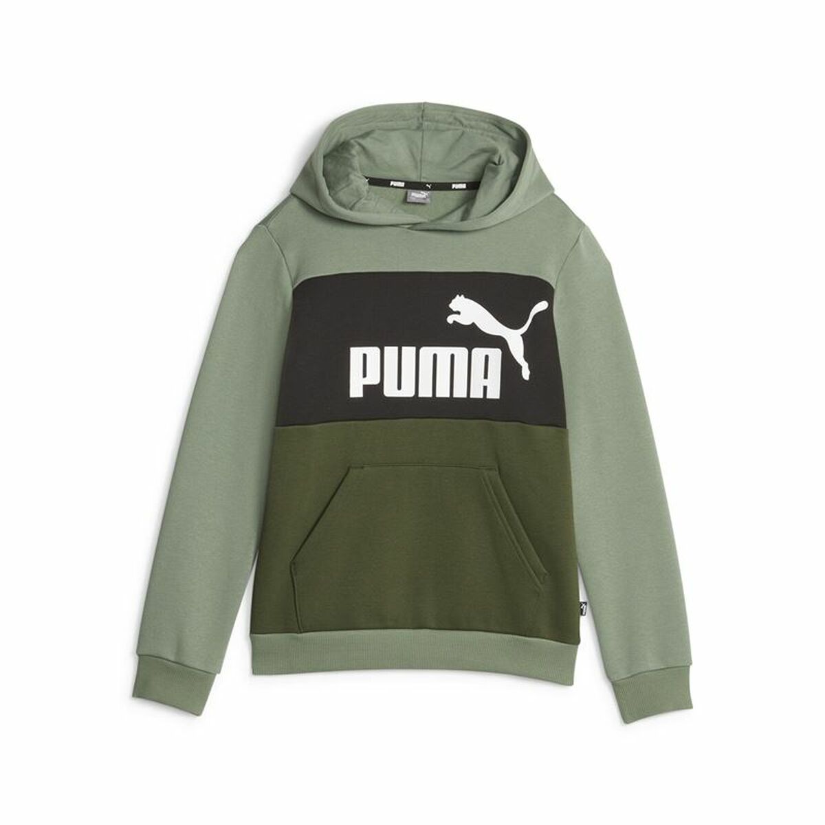 Children’s Sweatshirt Puma Ess Block Fl Green-0