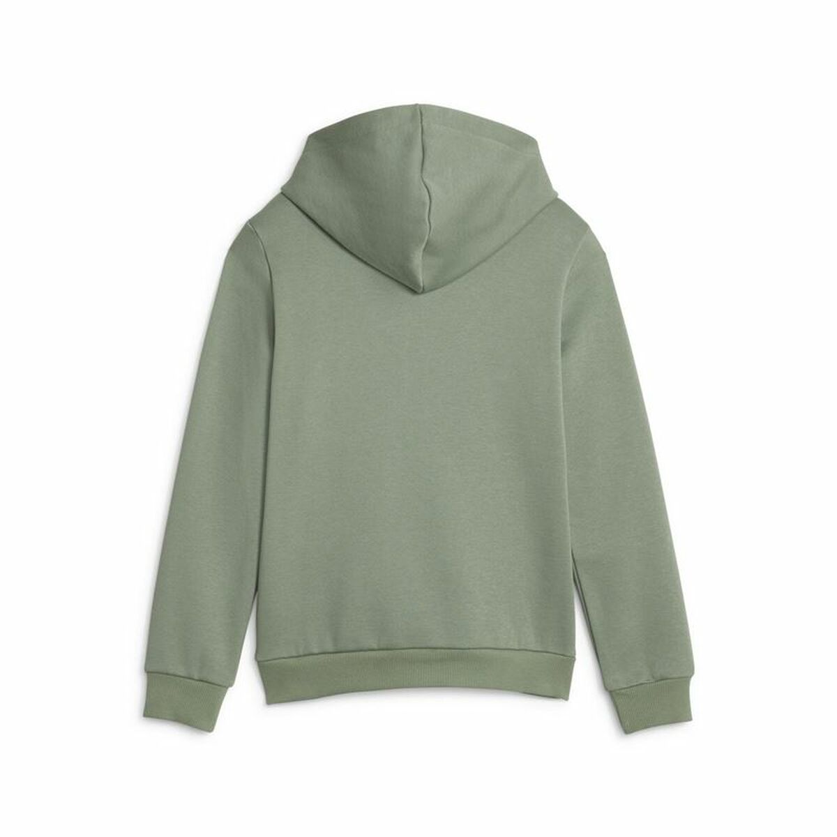 Children’s Sweatshirt Puma Ess Block Fl Green-4