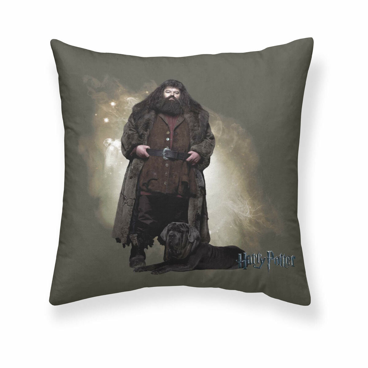 Cushion cover Harry Potter Hagrid Multicolour 50 x 50 cm-0