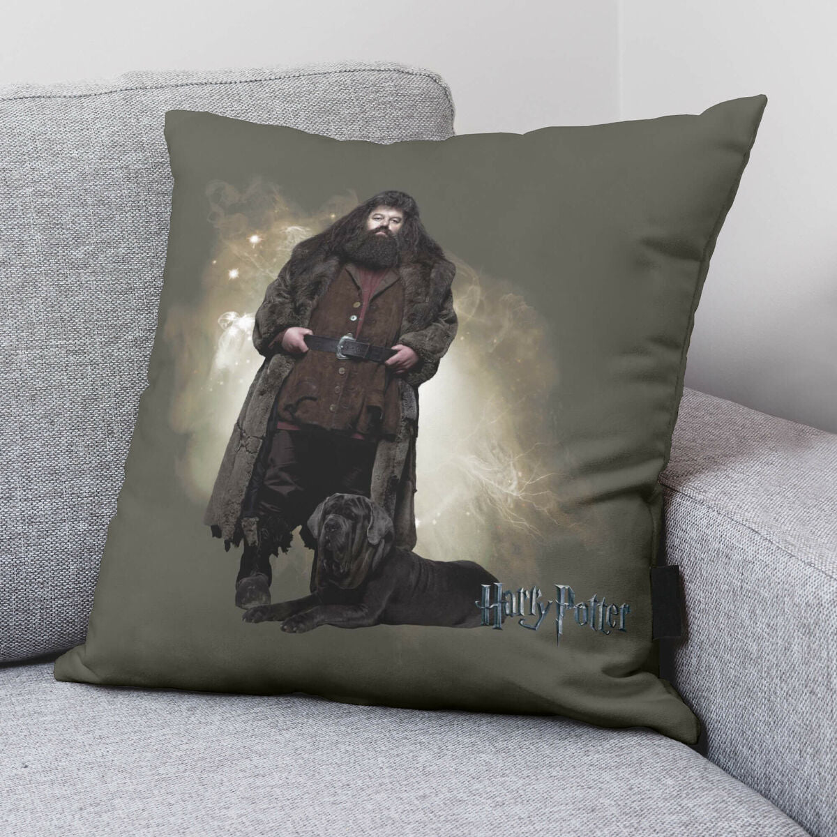 Cushion cover Harry Potter Hagrid Multicolour 50 x 50 cm-1