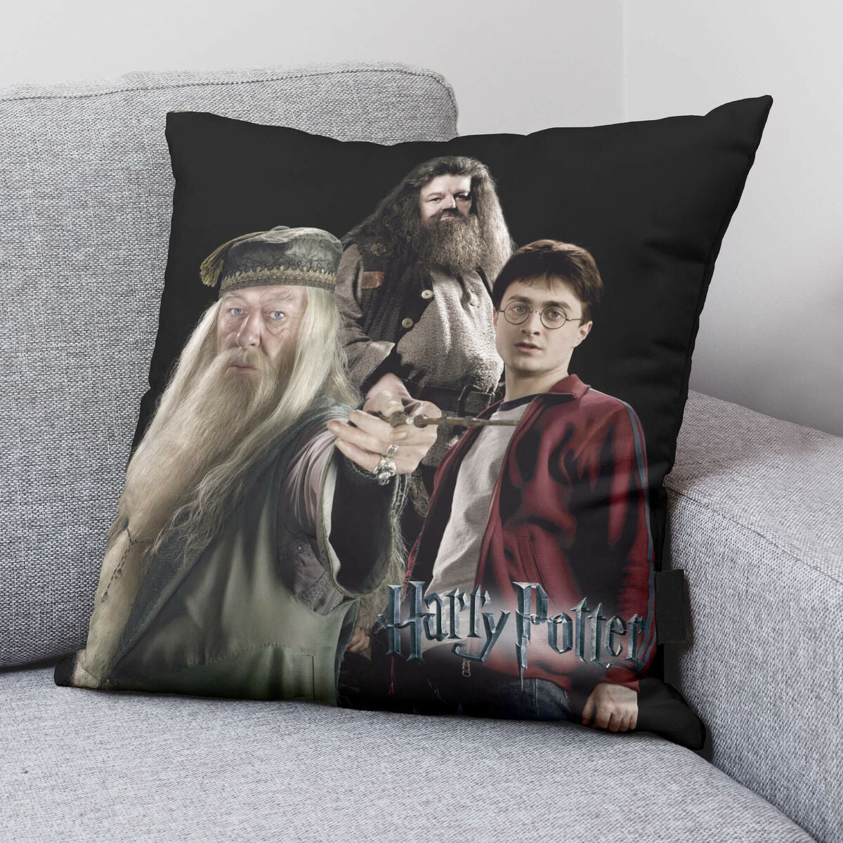 Cushion cover Harry Potter Team Multicolour 50 x 50 cm-1