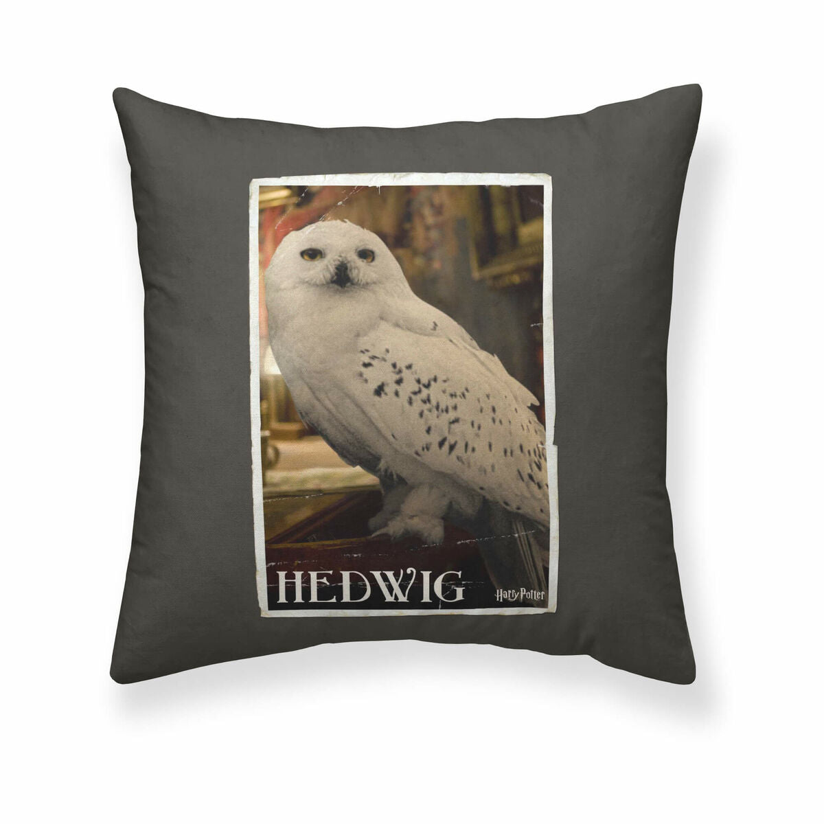 Cushion cover Harry Potter Hedwig Multicolour 50 x 50 cm-0