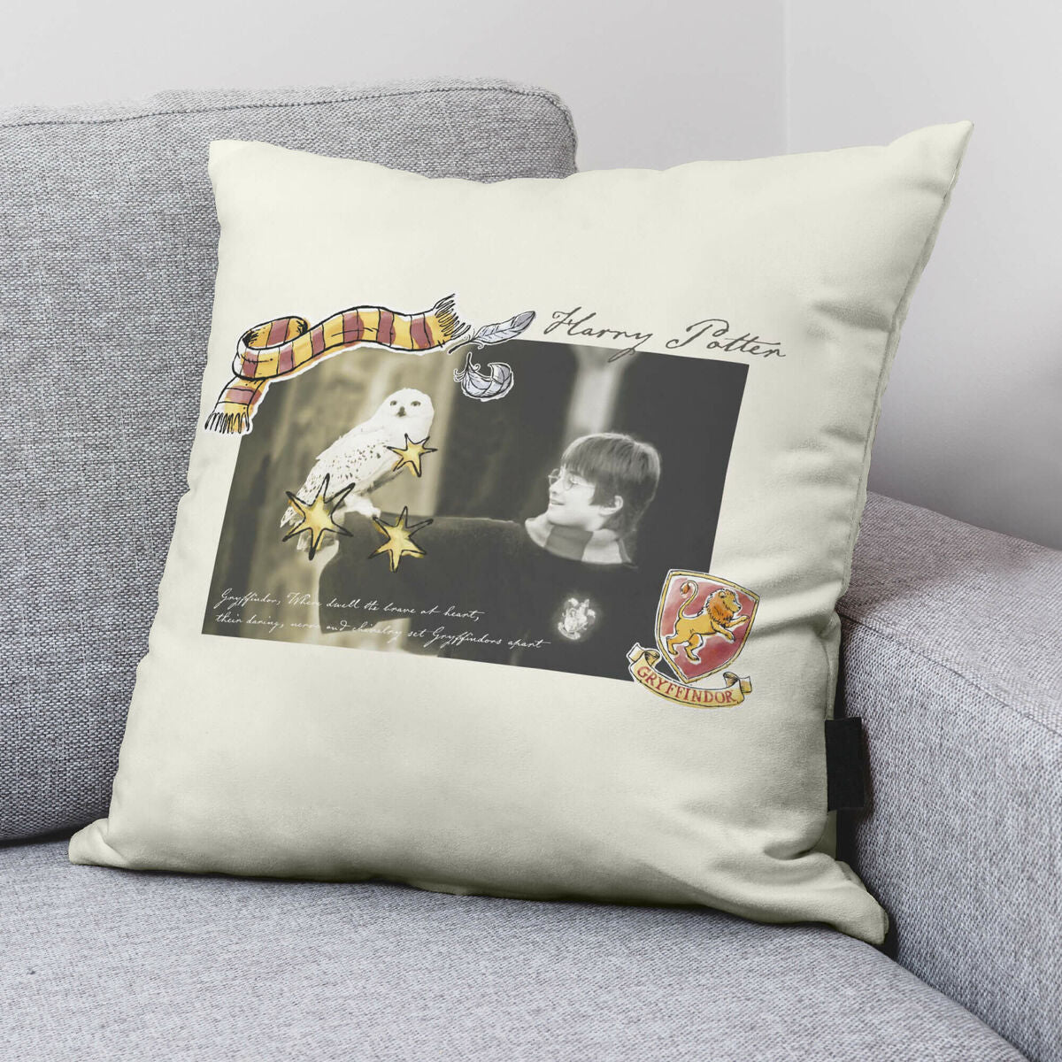 Cushion cover Harry Potter Little Memories Multicolour 50 x 50 cm-1