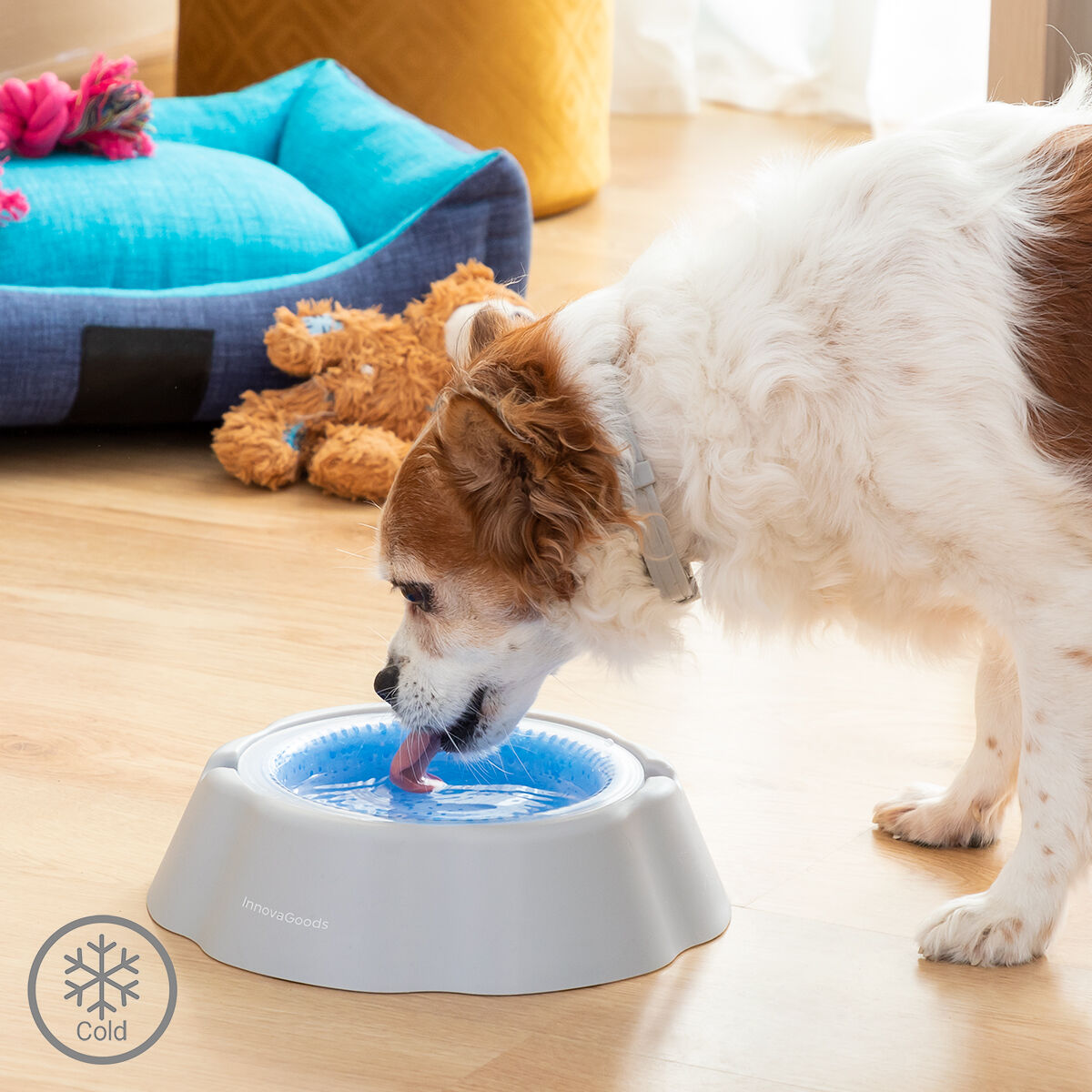 Cooling Pet Water Bowl Freshty InnovaGoods-0