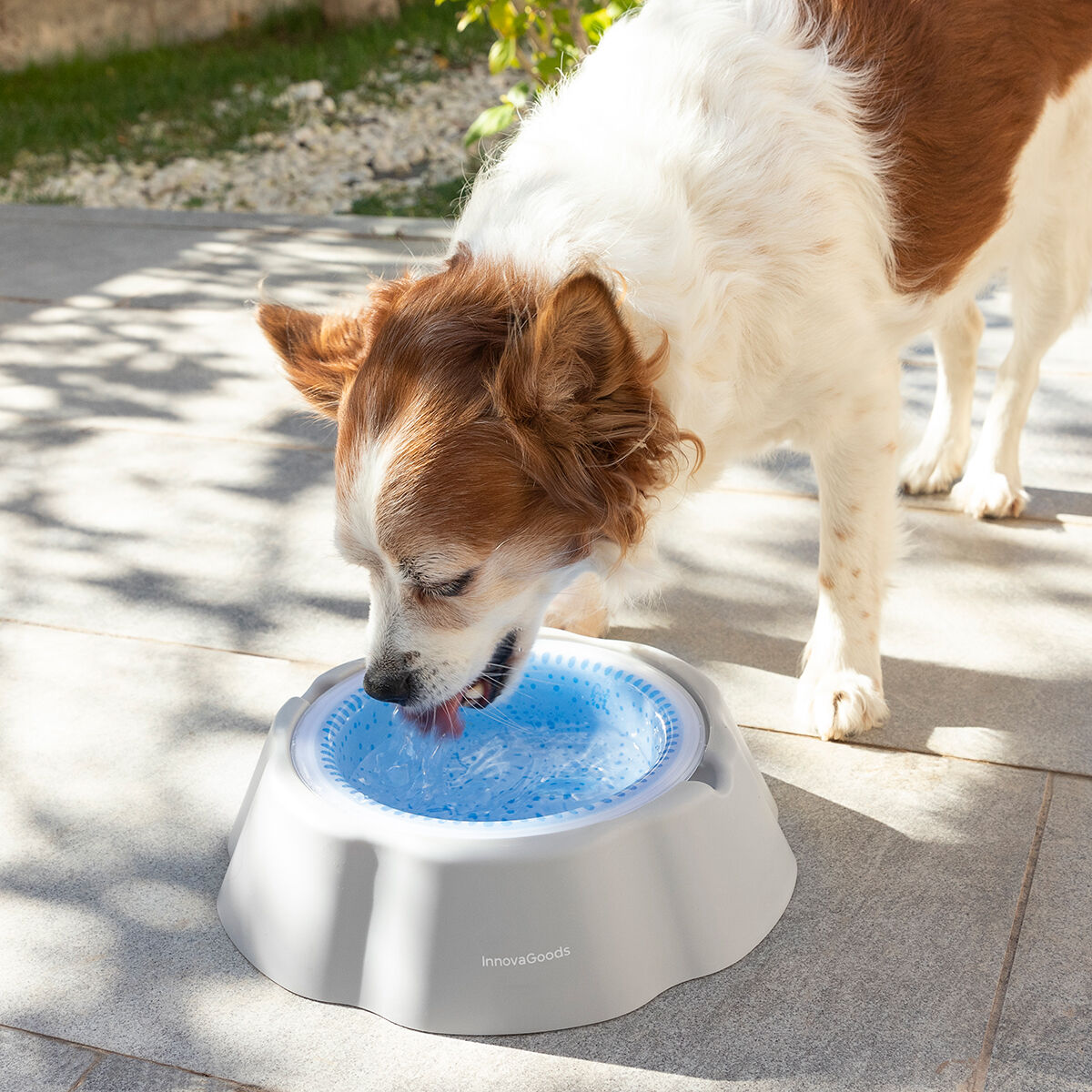 Cooling Pet Water Bowl Freshty InnovaGoods-8