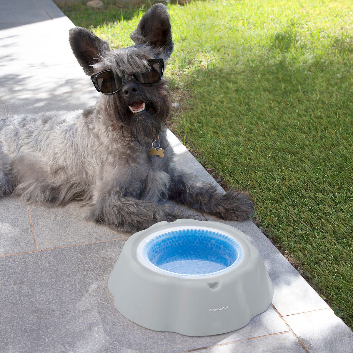 Cooling Pet Water Bowl Freshty InnovaGoods-7