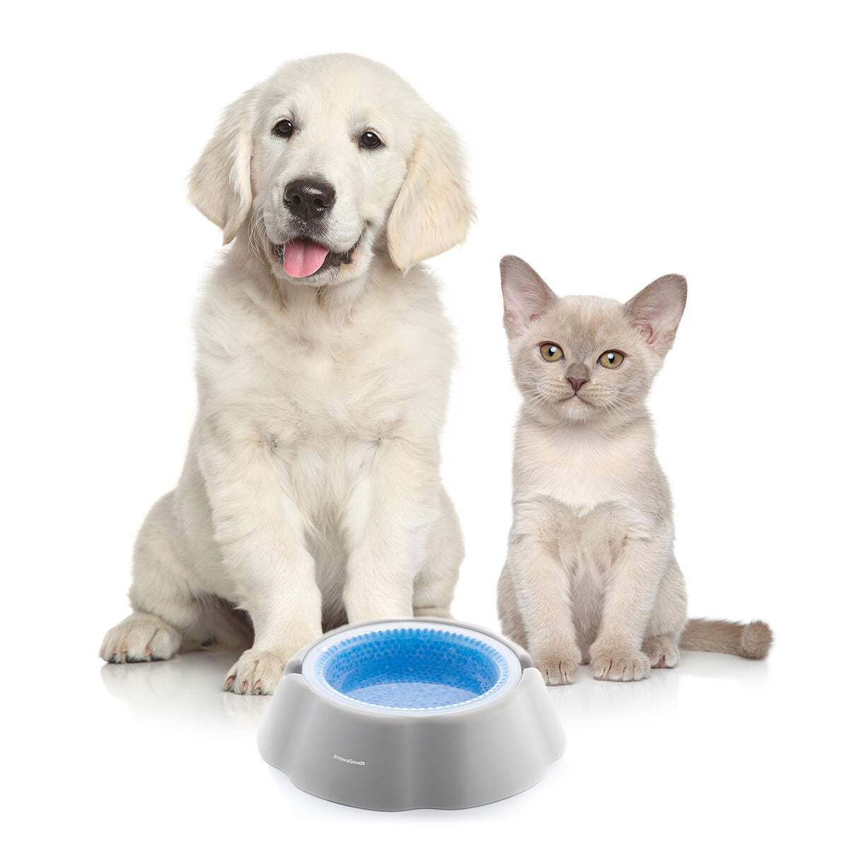 Cooling Pet Water Bowl Freshty InnovaGoods-3