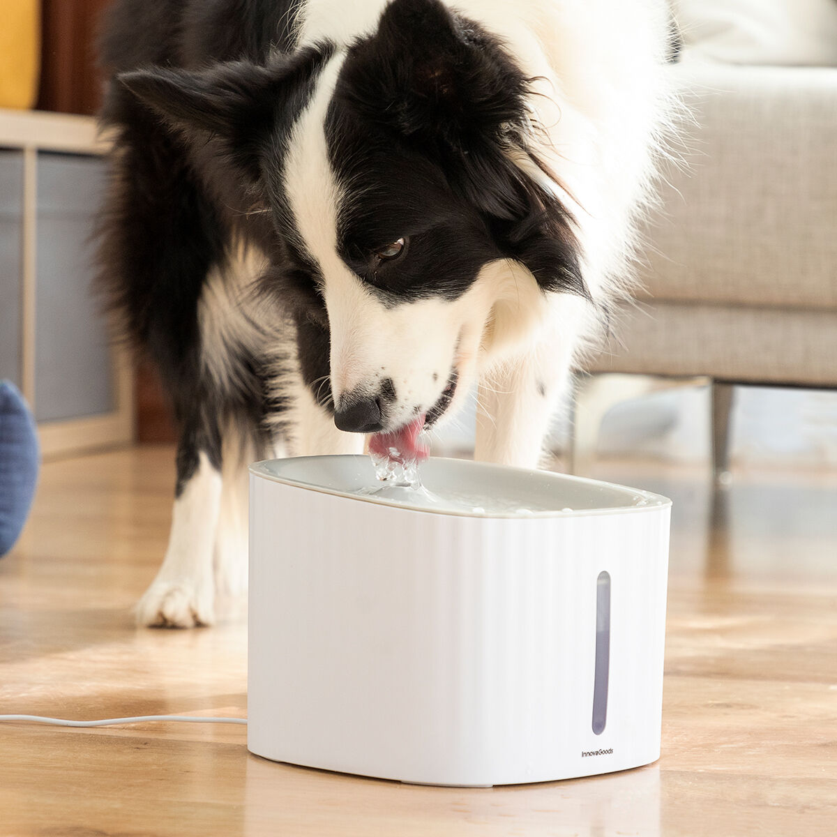 Pet Water Fountain Drinkatt InnovaGoods-9