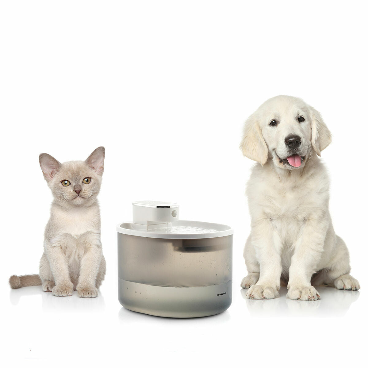 Rechargeable Cat Water Fountain with Sensor Refopet InnovaGoods-4