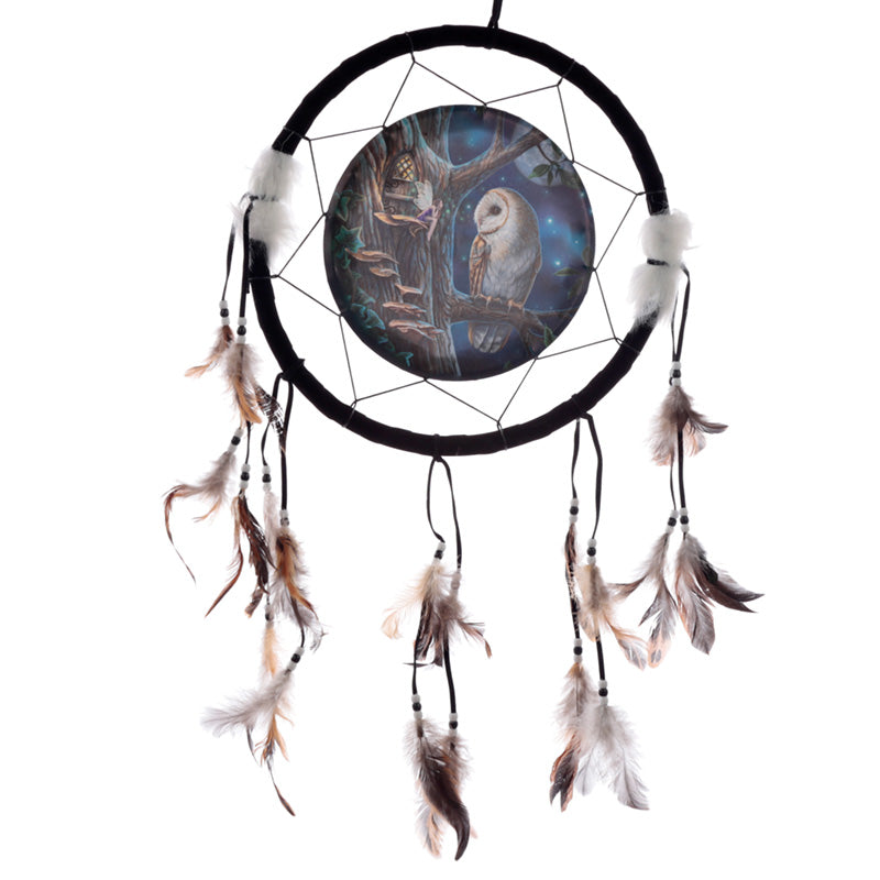 Dreamcatcher (Medium) - Lisa Parker Fairy Tales Owl & Fairy DCPB02L-0