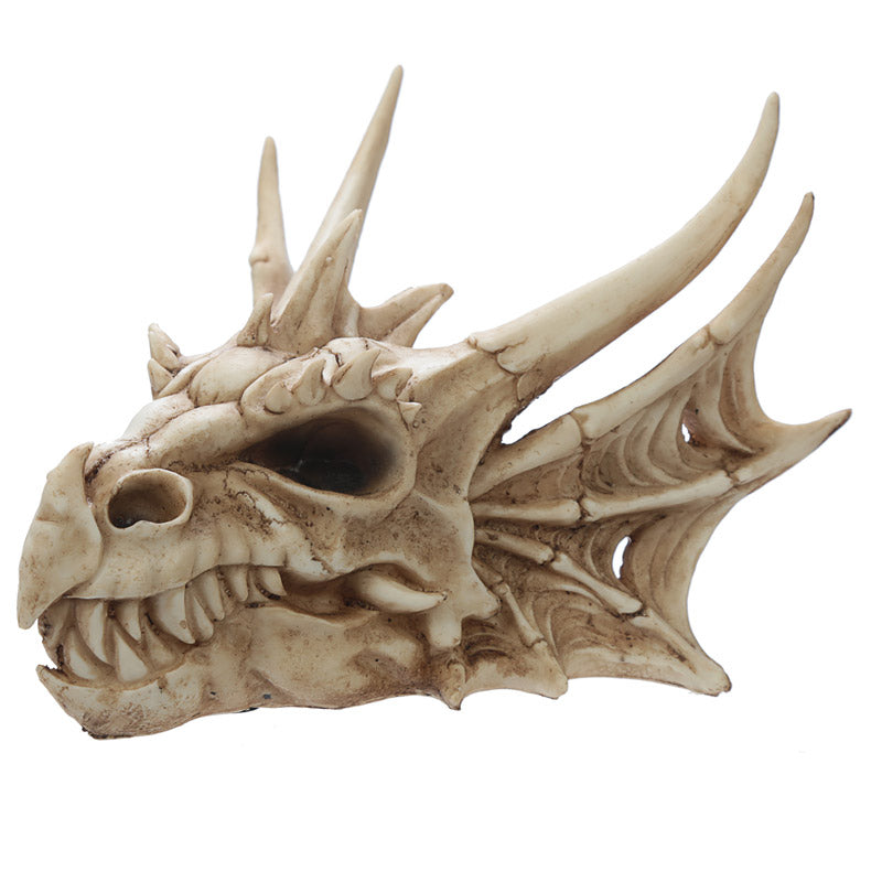 Collectable Dragon Skull DRG431-0