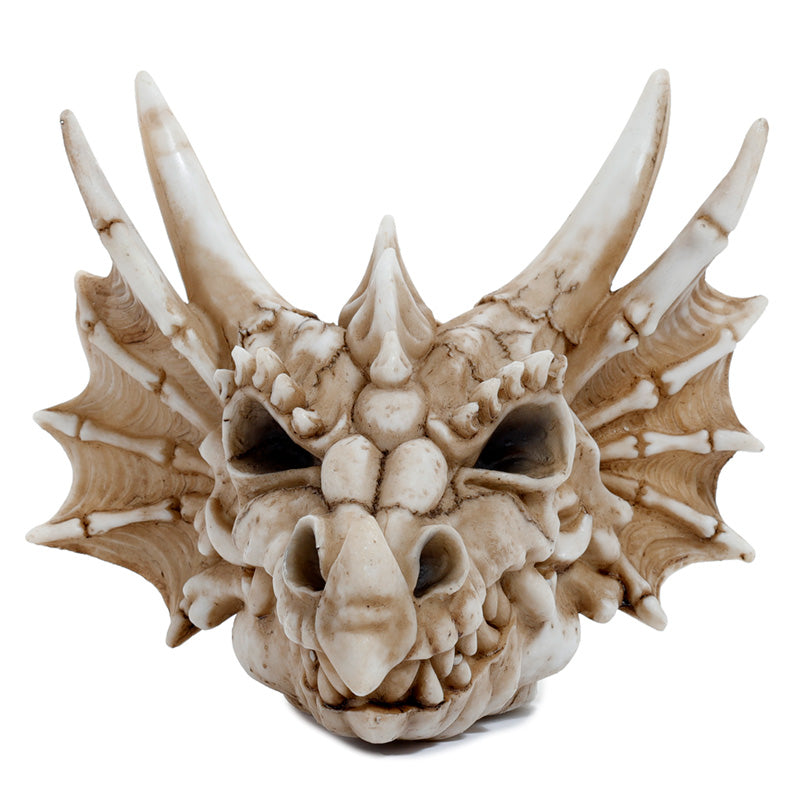 Shadows of Darkness Dragon Skull Money Box DRG526-0