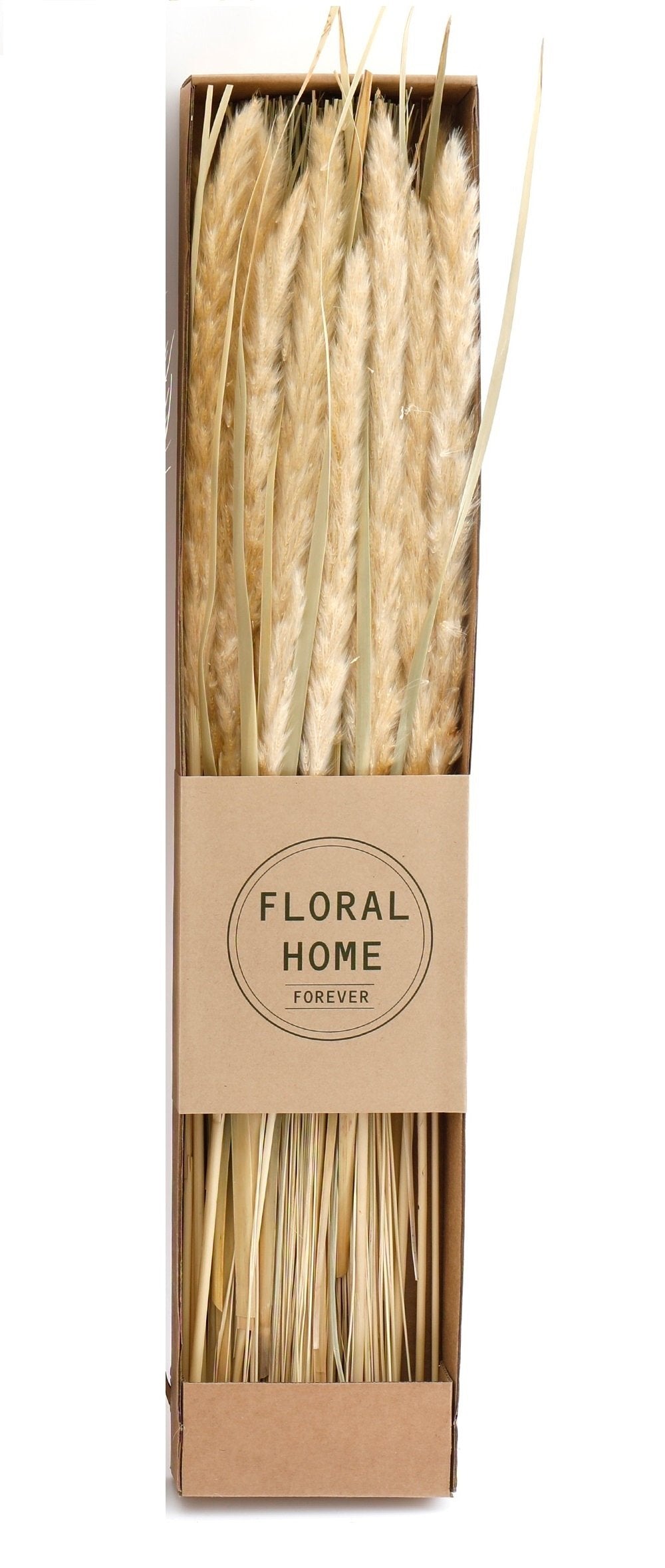 Decorative Dried Pampas Grass 60cm-0