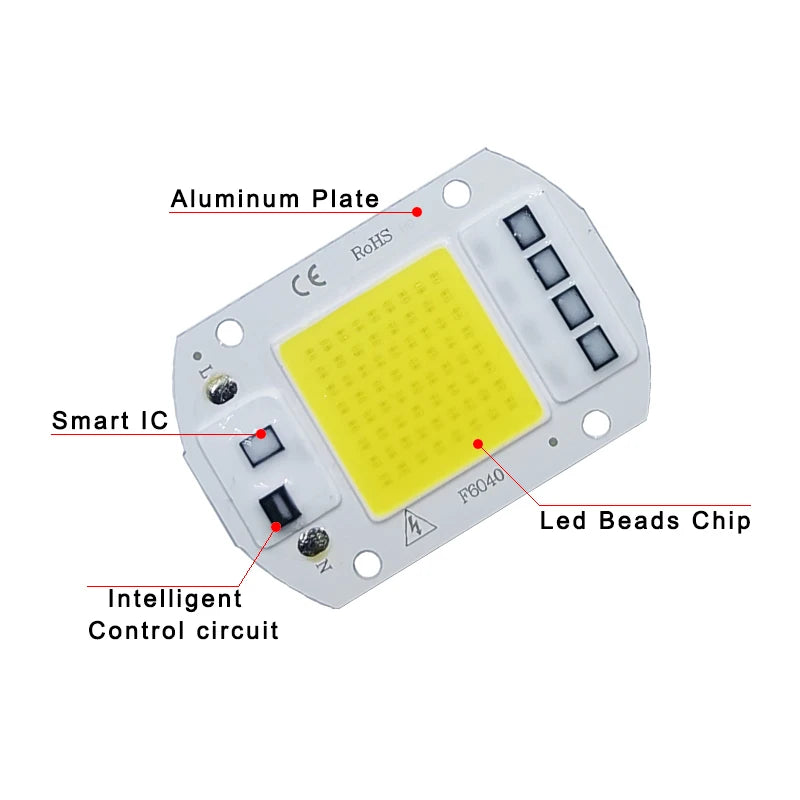 LED Chip COB lamp 10W 20W 30W 50W AC 220V 240V IP65 Smart IC No Need Driver DIY Flood light Led Bulb Spotlight Outdoor Lamp bead