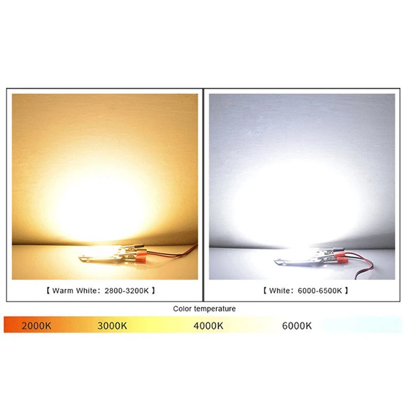 LED Chip COB lamp 10W 20W 30W 50W AC 220V 240V IP65 Smart IC No Need Driver DIY Flood light Led Bulb Spotlight Outdoor Lamp bead