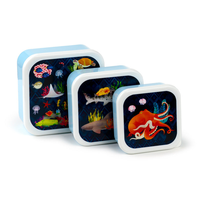 Lunch Boxes Set of 3 (M/L/XL) - Marine Kingdom LBOX110-0