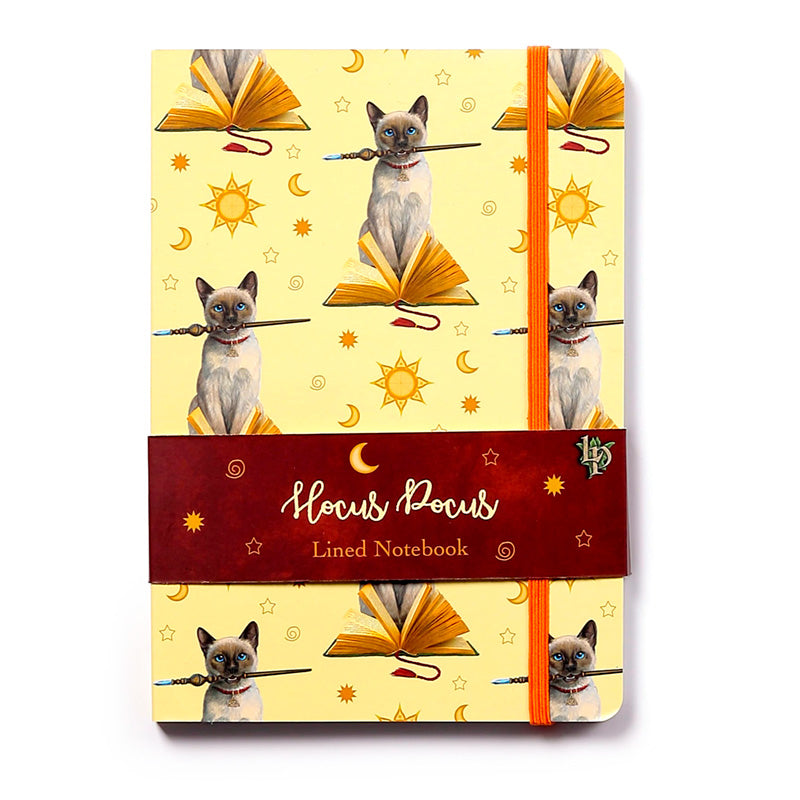 Recycled Paper A5 Lined Notebook - Lisa Parker Hocus Pocus Cat MEMO110-0