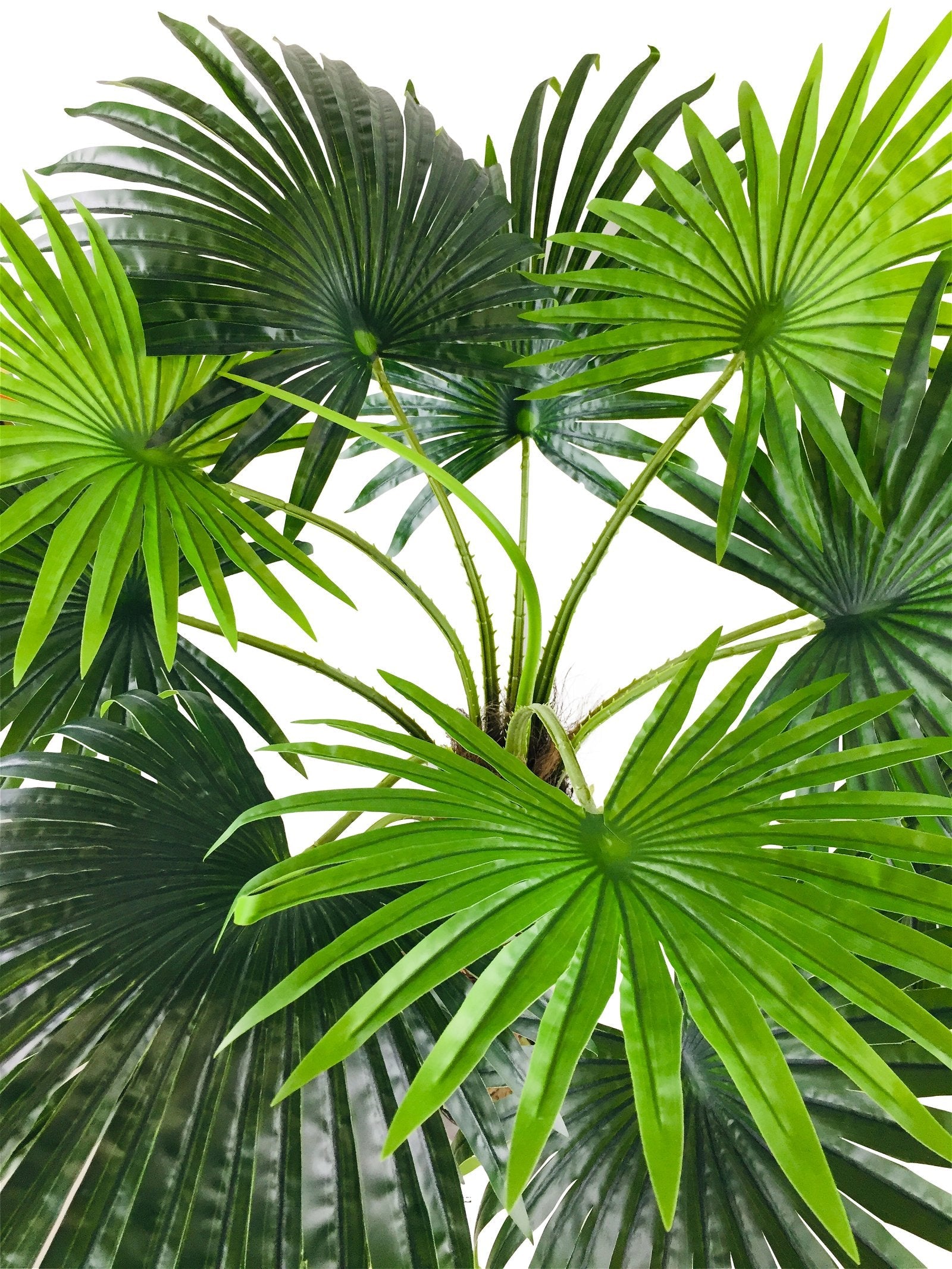 Artificial Fan Palm Tree 150cm-2