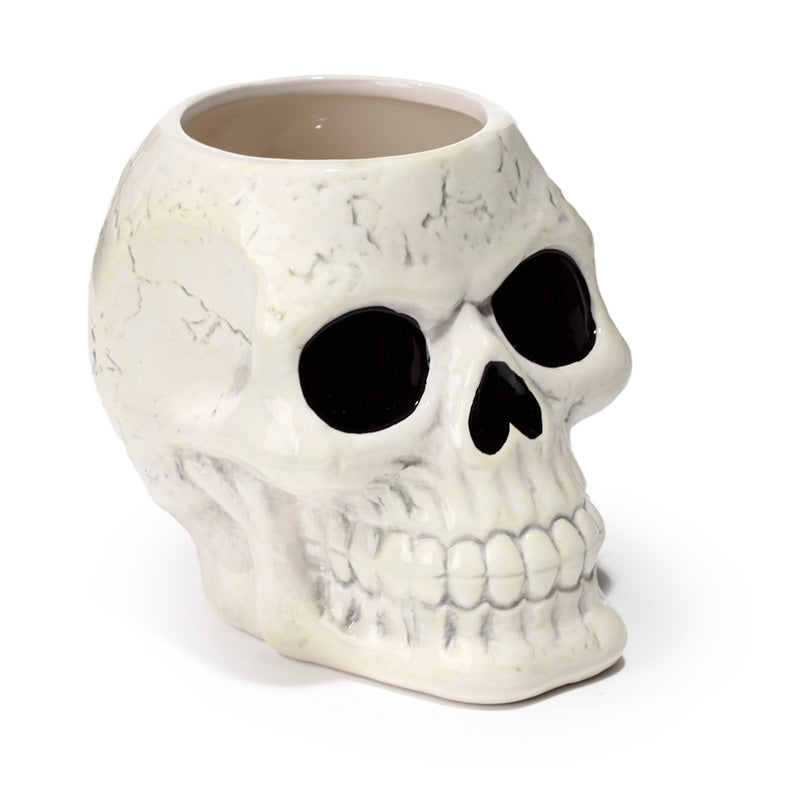 Shaped Ceramic Garden Planter/Plant Pot - Ancient Skull PLAN26-0