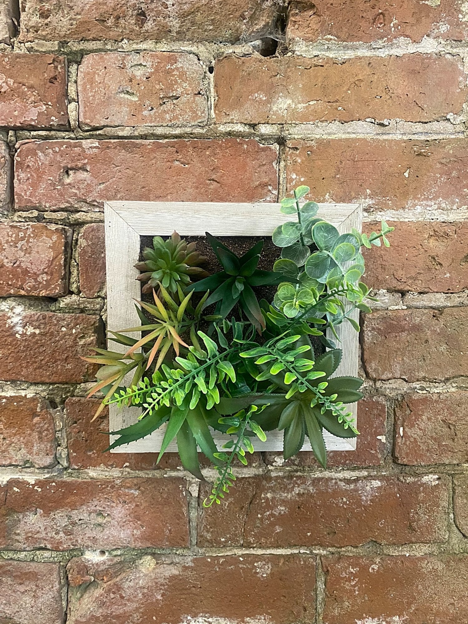 Artificial Succulents In Square Wooden Frame-3