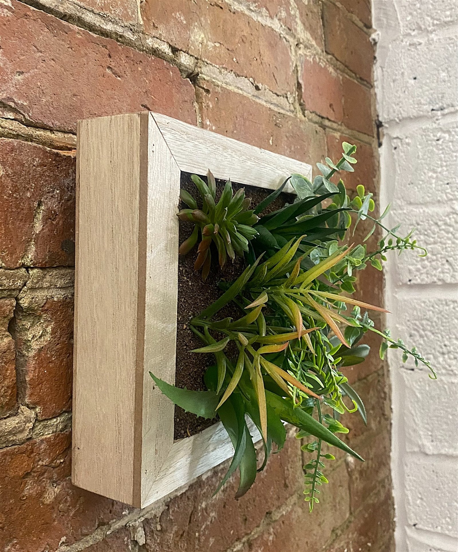 Artificial Succulents In Square Wooden Frame-2