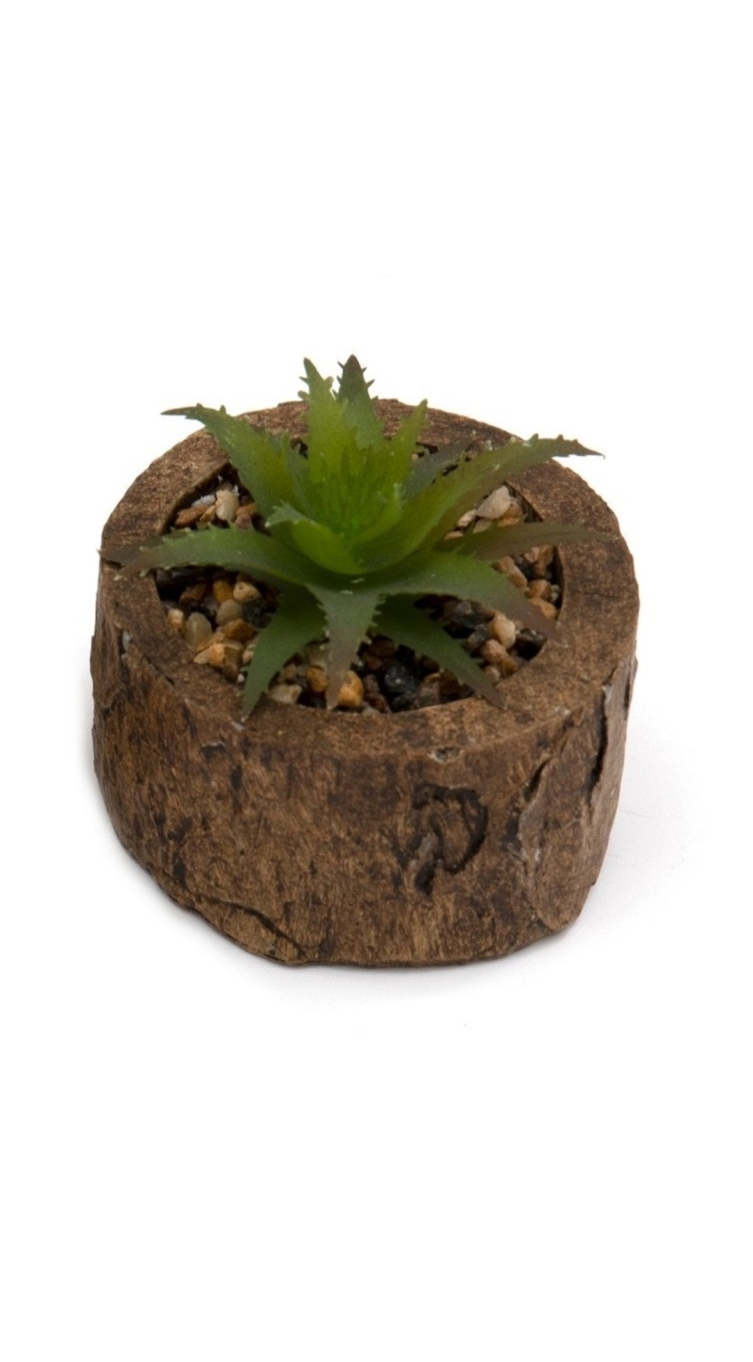 Bark Effect Pot and Succulent-4