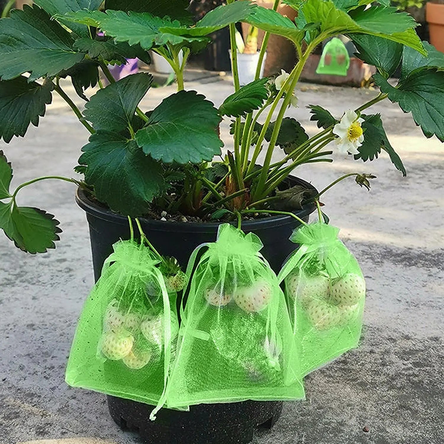 100/50/20Pcs Grape Protection Bags with Drawstring Fruit Protection Mesh Bag Protective Pouches for Strawberry Organza Gift Bags