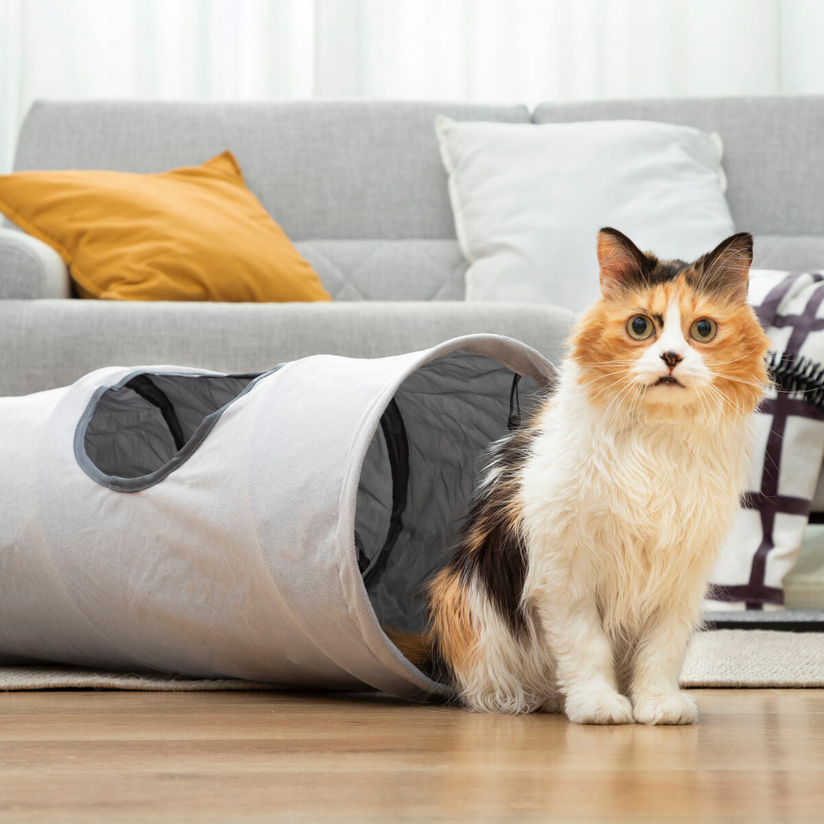 Collapsible Pet Tunnel Funnyl InnovaGoods-8