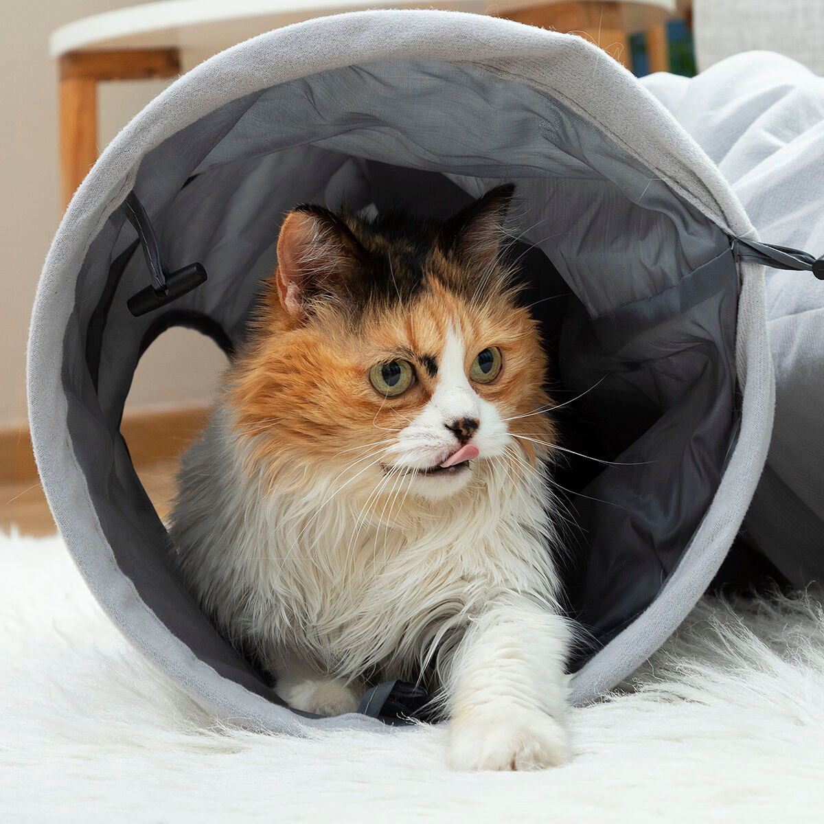 Collapsible Pet Tunnel Funnyl InnovaGoods-7