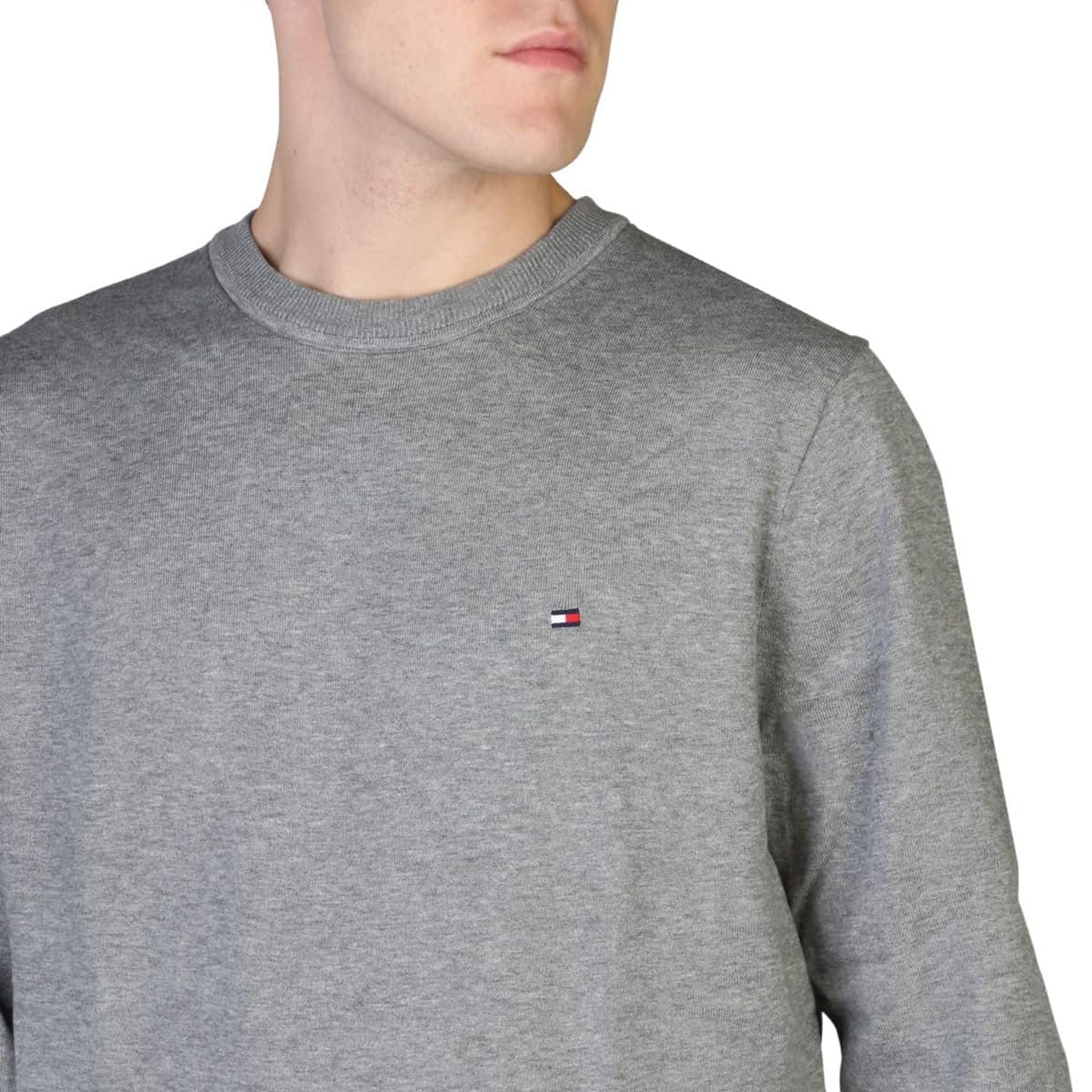 Tommy Hilfiger Sweatshirts