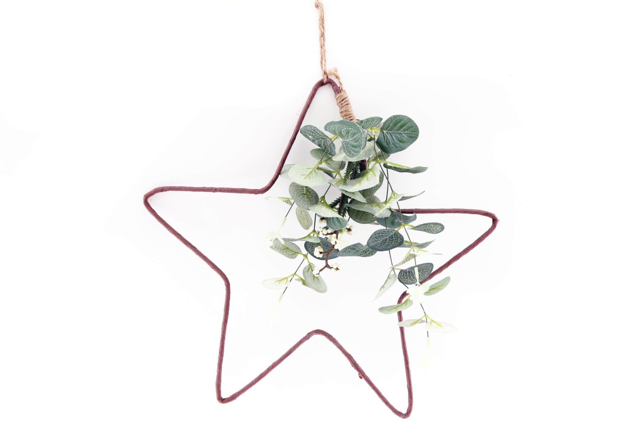 Hanging Wire Star with Eucalyptus Detail-0