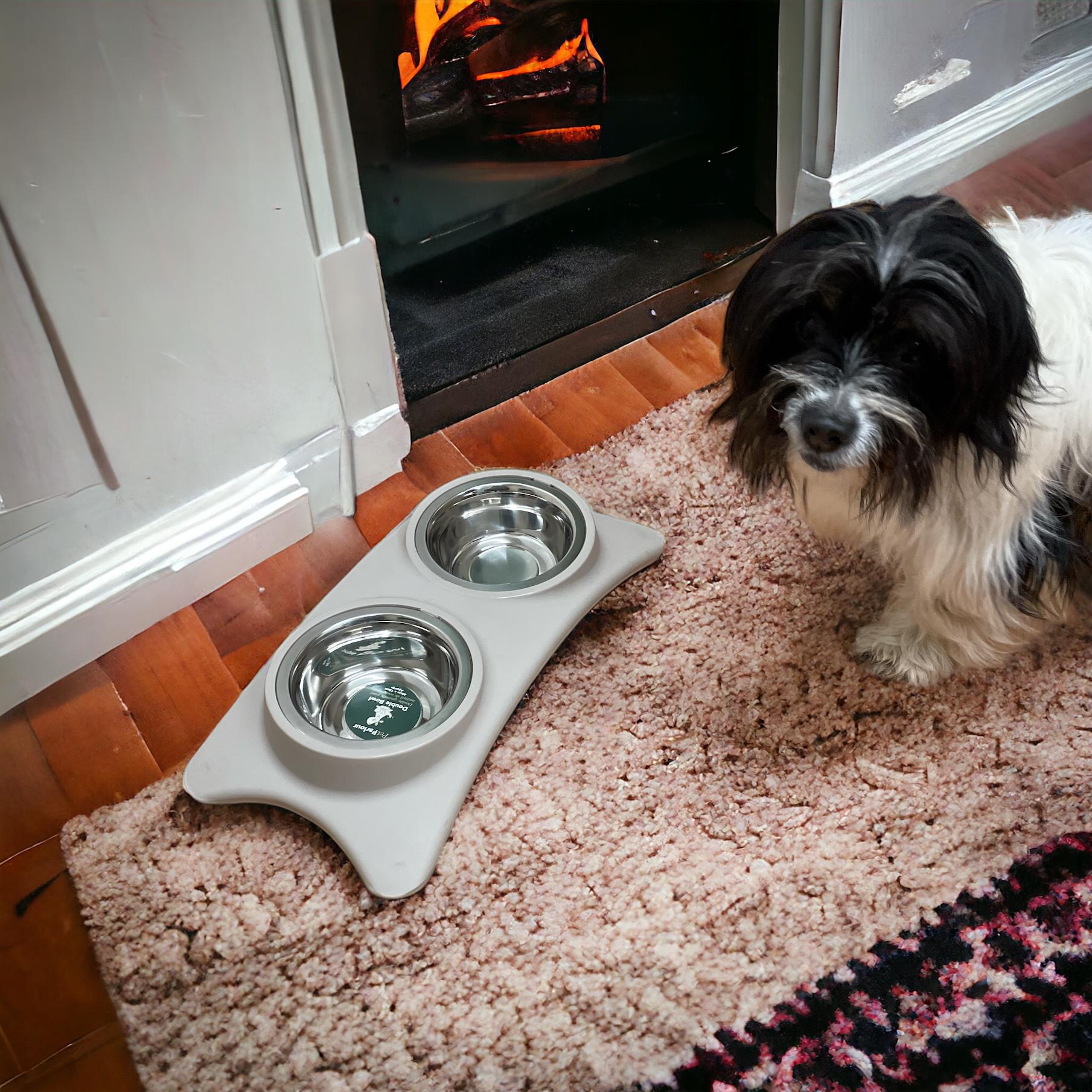 Double Pet Bowls For Dog & Cat-3